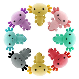 Axolotl Plush — Axolotls for Sale | Exotic Morphs