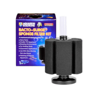 Sponge Filter For Axolotl Aquarium — Axolotls for Sale | Exotic Morphs